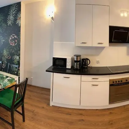 Apartment Morskie Oko Apartamentyzakopianskie Basen Sauna Jacuzzi Zakopane